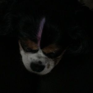 Meet your Posher, Roe